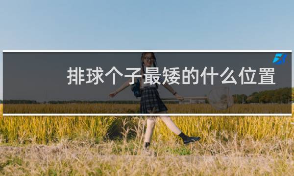 排球个子最矮的什么位置图片