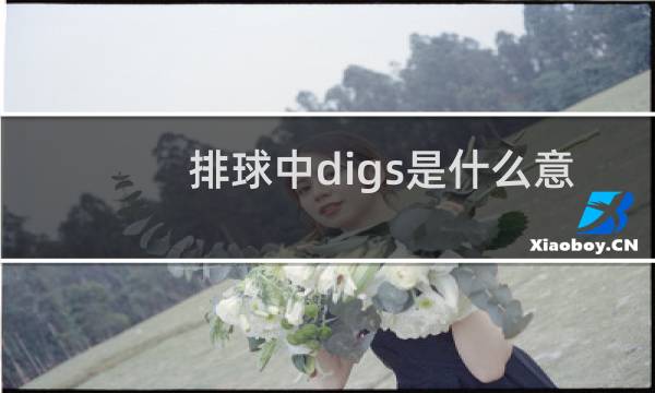 排球中digs是什么意思中文翻译图片