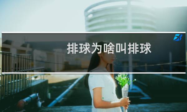 排球为啥叫排球图片