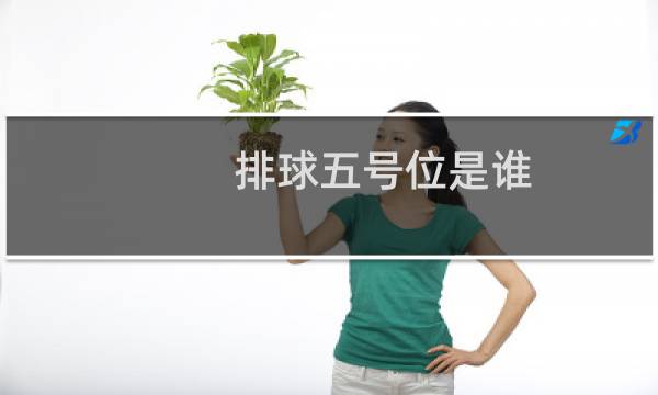 排球五号位是谁图片