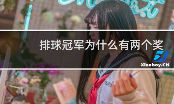 排球冠军为什么有两个奖杯图片