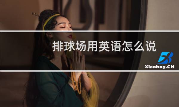 排球场用英语怎么说图片