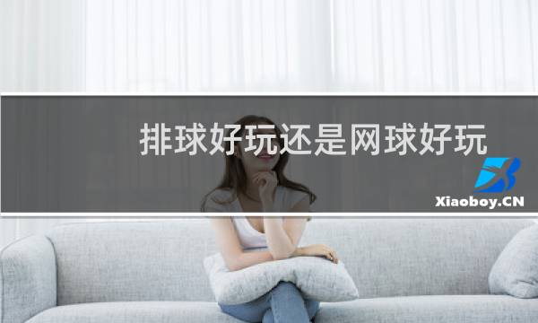 排球好玩还是网球好玩图片