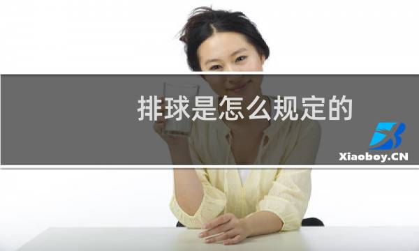 排球是怎么规定的图片