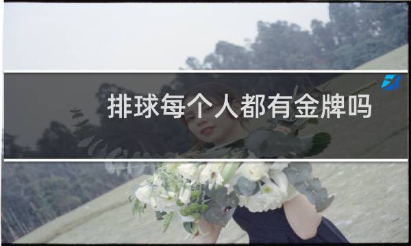 排球每个人都有金牌吗图片