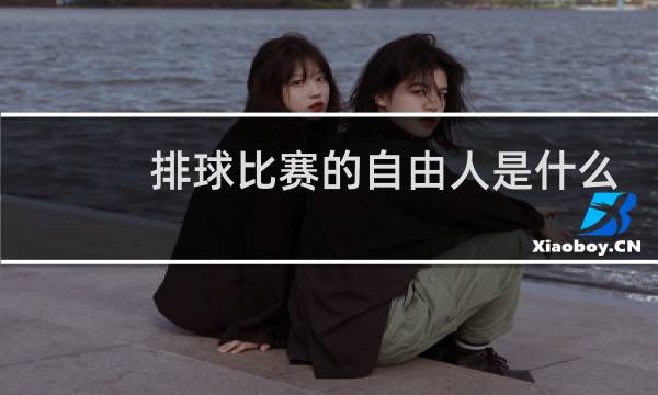 排球比赛的自由人是什么意思图片