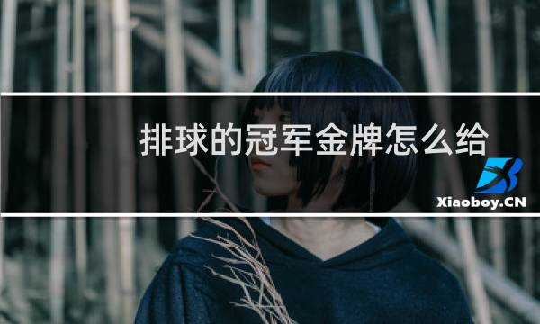 排球的冠军金牌怎么给图片