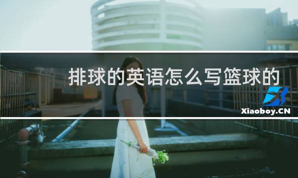 排球的英语怎么写篮球的英语怎么写图片