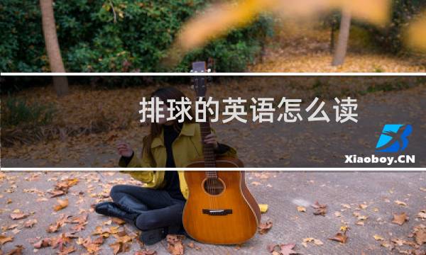 排球的英语怎么读(有声)图片
