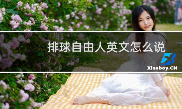 排球自由人英文怎么说图片