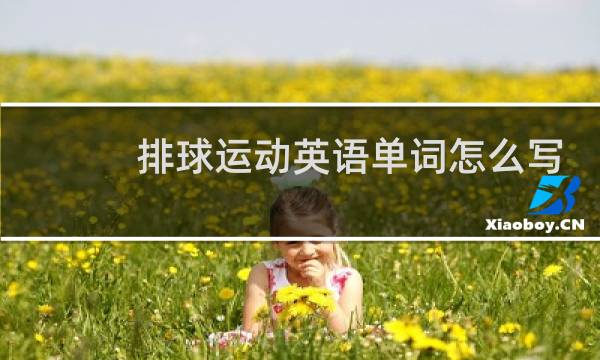 排球运动英语单词怎么写图片