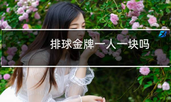 排球金牌一人一块吗图片