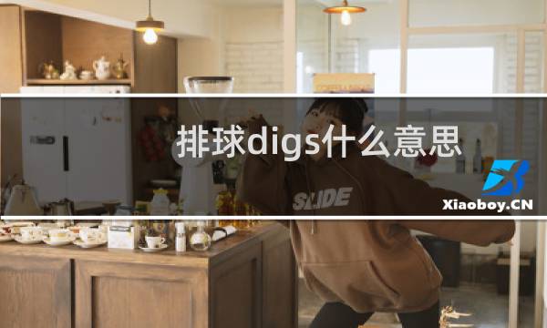 排球digs什么意思图片