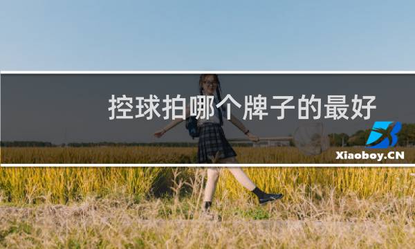 控球拍哪个牌子的最好图片