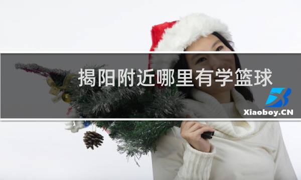 揭阳附近哪里有学篮球图片