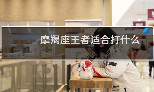 摩羯座王者适合打什么图片