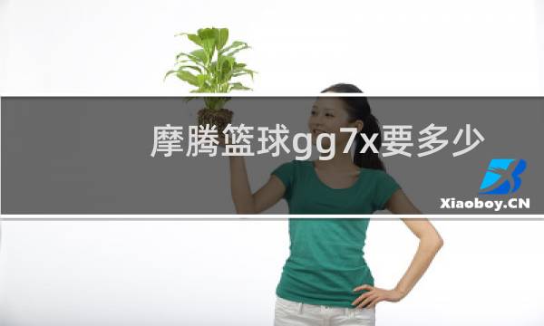 摩腾篮球gg7x要多少钱图片