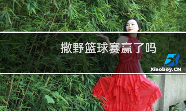 撒野篮球赛赢了吗图片