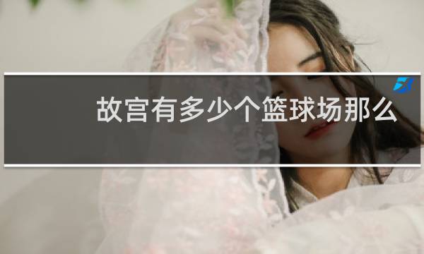故宫有多少个篮球场那么大图片