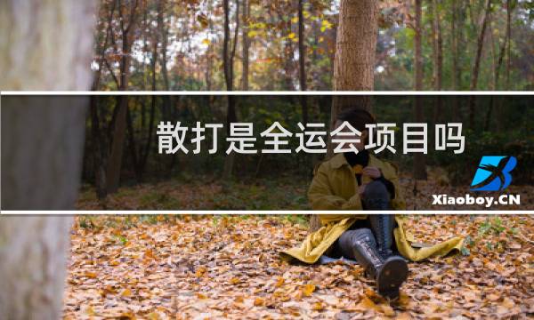 散打是全运会项目吗图片