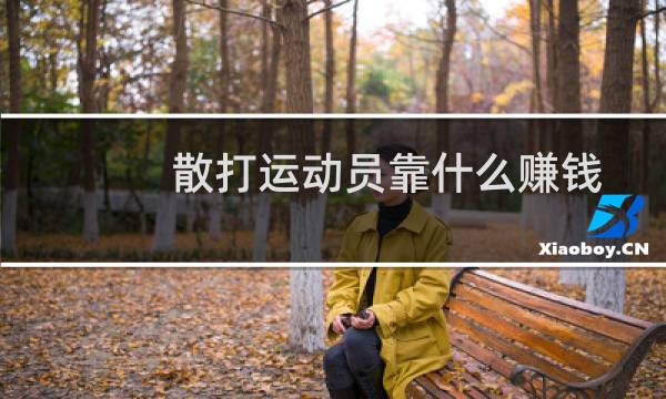 散打运动员靠什么赚钱图片