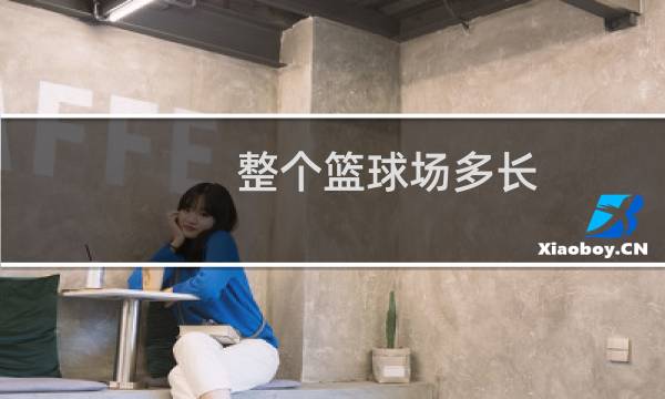 整个篮球场多长图片