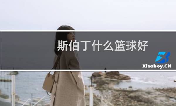 斯伯丁什么篮球好图片