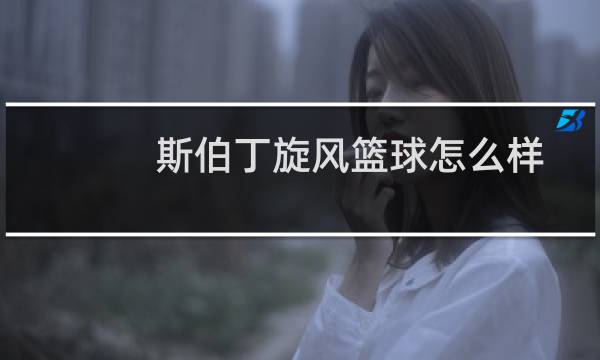 斯伯丁旋风篮球怎么样图片