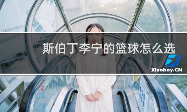 斯伯丁李宁的篮球怎么选图片