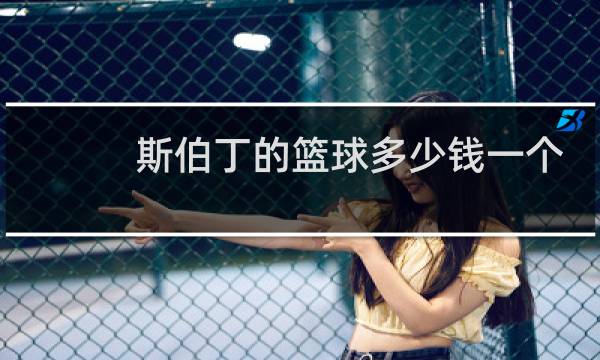 斯伯丁的篮球多少钱一个图片
