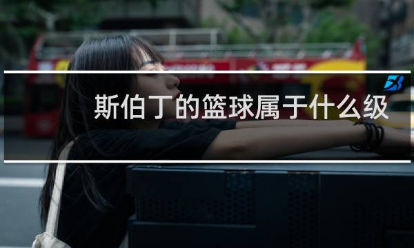 斯伯丁的篮球属于什么级别图片