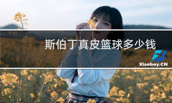 斯伯丁真皮篮球多少钱图片