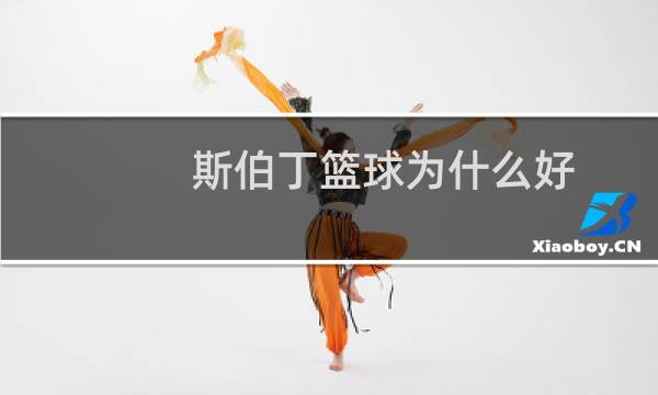 斯伯丁篮球为什么好图片