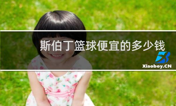 斯伯丁篮球便宜的多少钱图片