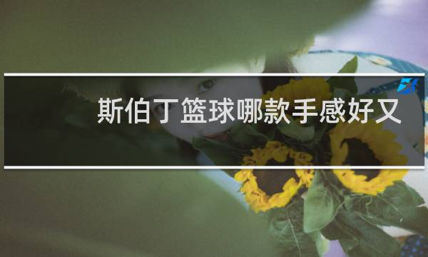 斯伯丁篮球哪款手感好又好看图片