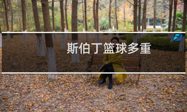 斯伯丁篮球多重图片