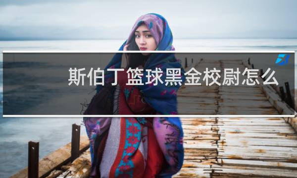 斯伯丁篮球黑金校尉怎么样图片