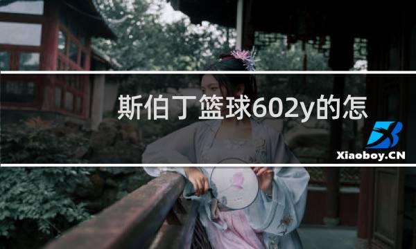 斯伯丁篮球602y的怎么样图片