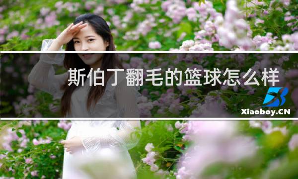 斯伯丁翻毛的篮球怎么样图片