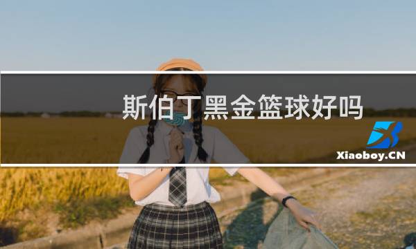 斯伯丁黑金篮球好吗图片