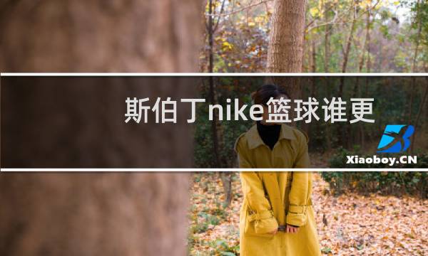 斯伯丁nike篮球谁更好吗图片