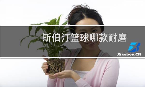 斯伯汀篮球哪款耐磨图片