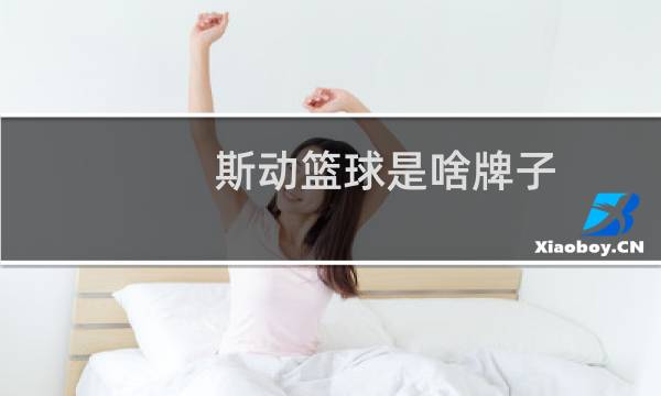 斯动篮球是啥牌子图片