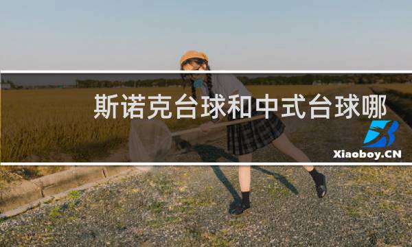斯诺克台球和中式台球哪个大图片