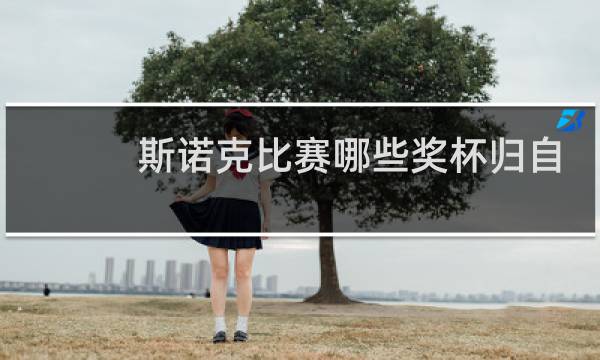 斯诺克比赛哪些奖杯归自己吗图片