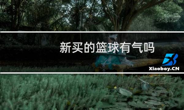 新买的篮球有气吗图片