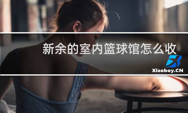 新余的室内篮球馆怎么收费图片