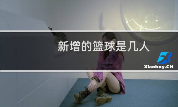 新增的篮球是几人图片