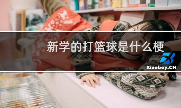 新学的打篮球是什么梗图片
