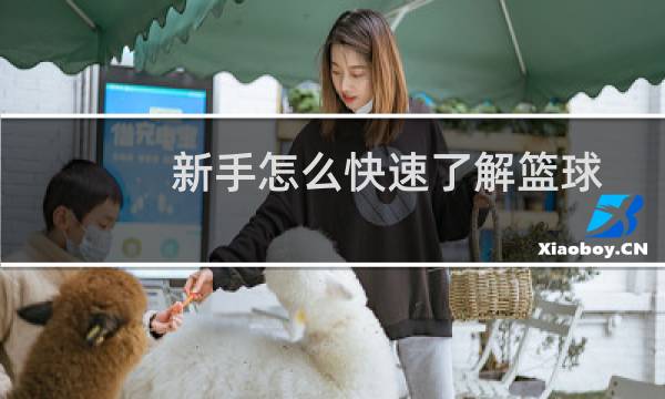 新手怎么快速了解篮球图片